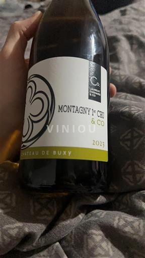Borgogna Non specificato Premier Cru Château Buxy Montagny 1er Cru & Co 2023