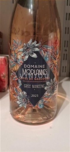 Sydvestfrankrig Côtes de Gascogne Domaine Morlannes 2023