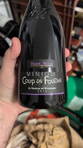 Vinos Rouge sec Coup de Foudre Hervé Morin 2018 Francia Valle del Loira Saint-Nicolas-De-Bourgueil AOC