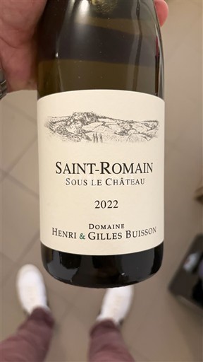 Bourgondië Saint-Romain Domaine Henri & Gilles Buisson Sous le Château 2022