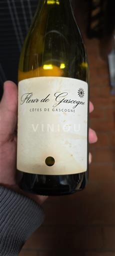Sudoeste Côtes de Gascogne Fleur de Gascogne 2020