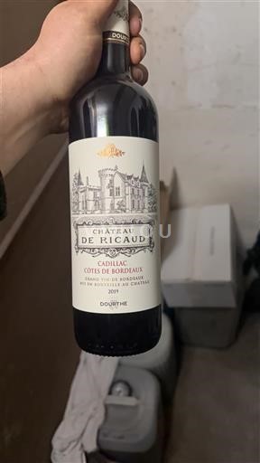 Bordeaux Cadillac-Côtes-de-Bordeaux Château Ricaud 2019