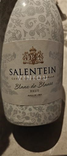 Mendoza Salentein Exceptionnelle Blanc de Blancs 2021