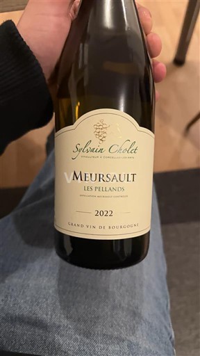 Borgogna Meursault Sylvain Cholet Les Pellands 2022
