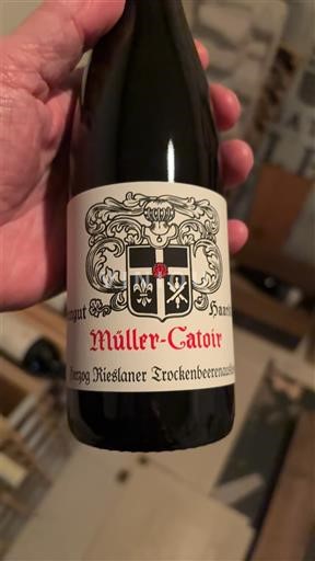 Pfalz Müller-Catoir Haardt Herzog Rieslaner Trockenbeerenauslese Non Millésimé