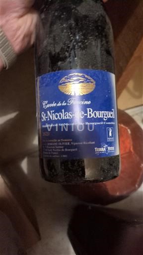 Údolí Loiry Saint-Nicolas-De-Bourgueil Dominique Olivier de la forcine 2020
