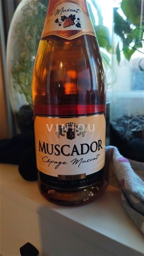 Valle della Loira Muscadet Muscador Cépage Muscat Senza annata