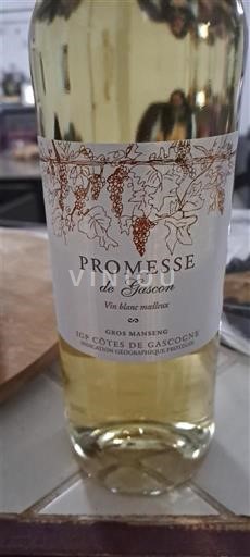 Sudoeste Côtes de Gascogne Promesse de Gascon 2024