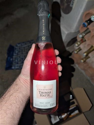 Champagne Sâm-panh Thomas Hatté Không niên vụ