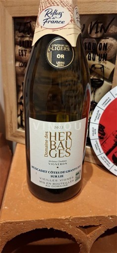 Loirevallei Niet gespecificeerd Domaine S Herbauges 2023