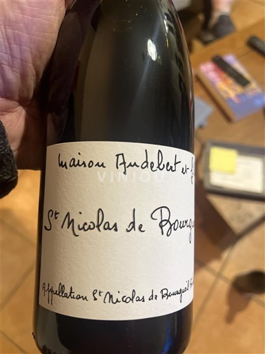 Víno Rouge sec Maison Andebert et Fils 2021 Francie Údolí Loiry Saint-Nicolas-De-Bourgueil AOC