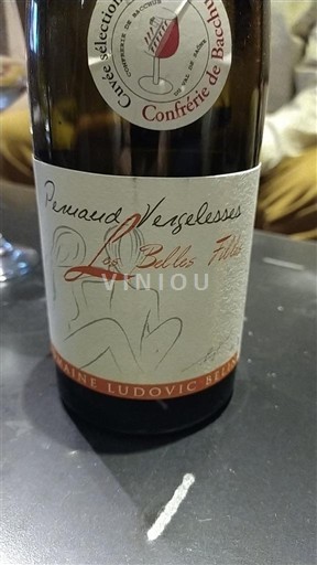 Borgogna Pernand-Vergelesses Domaine Ludovic Briday Les Belles Filles 2017
