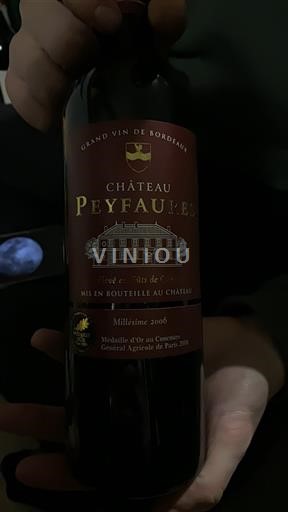 Burdeos Bordeaux superior Château Peyfaures 2006