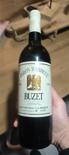 Tây Nam Buzet Baron d'Ardeuil 1995