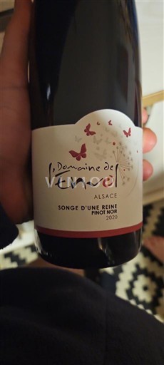 Alsacia Domaine L'Envol Songe d'une Reine Pinot Noir 2020