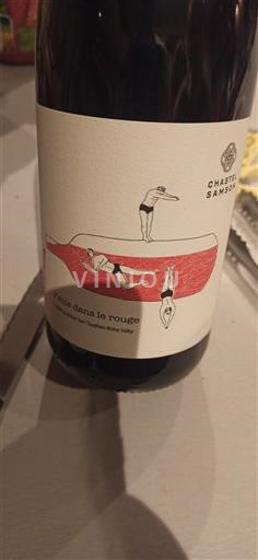 Rhônedalen Côtes du Rhône Chastan Samson Un pied dans le rouge 2024