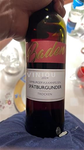 Baden Nimburger Vulkanfelsen 2024