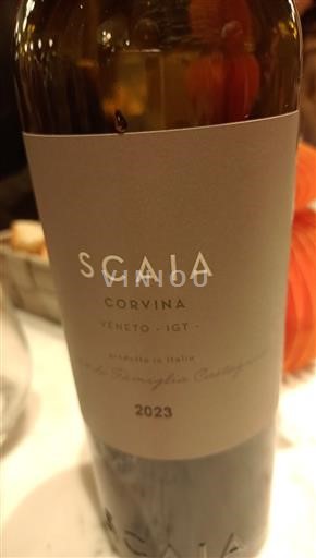 Vénétie Veneto Scaia Corvina 2023
