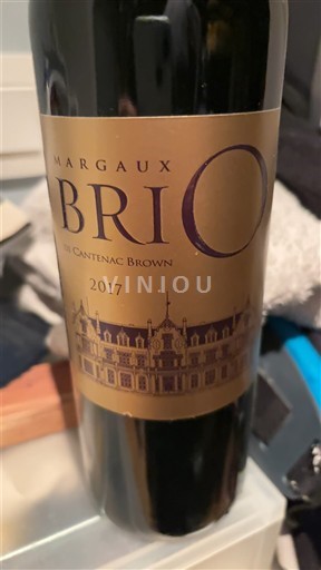 Bordeaux Margaux Château Cantenac Brown Brio de Cantenac Brown 2017