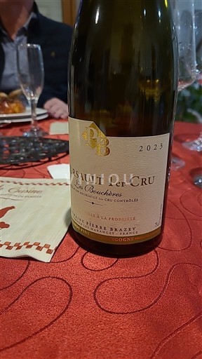 Borgoña No especificado Premier Cru Domaine Pierre Boisson Les Bouchères 2023