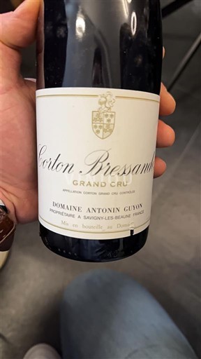 Borgoña Corton-Bressandes Grand Cru Domaine Antonin Guyon Corton Bressandes 2017