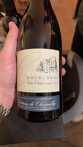 Wijnen Rouge sec Côte Chalonnaise Château Chamilly 2022 Frankrijk Bourgondië Bourgogne Côte Chalonnaise AOC