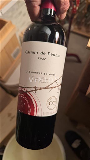 Thung lũng Maule Không được chỉ định Carmin de Peumo 2022