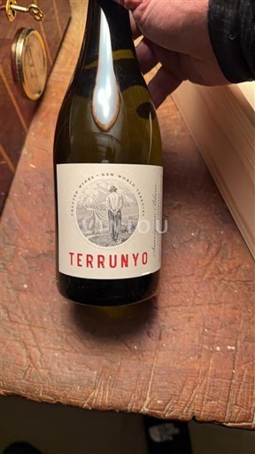 Thung lũng Casablanca Concha y Toro Terrunyo Không niên vụ