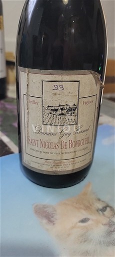 Loire Valley Saint-Nicolas-De-Bourgueil Domaine Gay Hureau Vieilles Vignes 1999