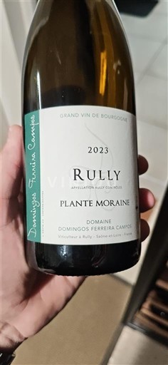 Borgogna Rully Domaine Domingos Ferreira Campos Plante Moraine 2023