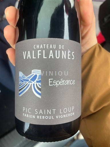 Languedok Pic-saint-loup Château Valflaunès Espérance 2023