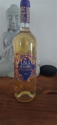 Sydvestfrankrig Côtes de Gascogne Domaine Morannis 2022