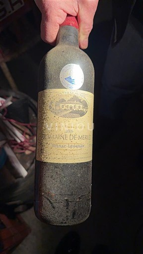 Bordeaux Côtes-de-bourg Domaine Merlet 2005