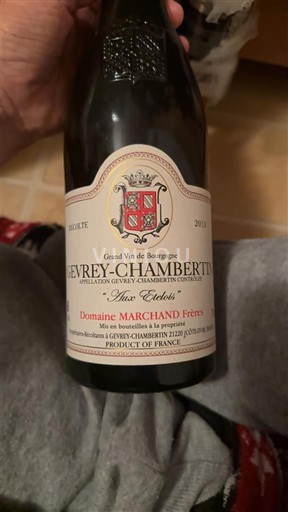 Bourgondië Gevrey-Chambertin Domaine Marchand Frères Aux Etoiles 2013