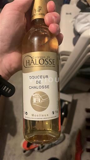Sudoeste Não especificado Coteaux de Chalosse Douceur de Chalosse 2022
