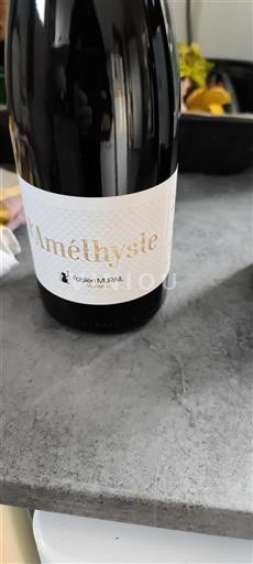 Valle della Loira Fiefs Vendéens Fabien Murail Améthyste 2023