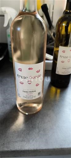 Valle della Loira Vandea Fabien Murail Amuse Gueule Senza annata