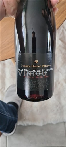 Valle della Loira Saint-Nicolas-De-Bourgueil Domaine Damien Bruneau Sélection Vieilles Vignes Senza annata