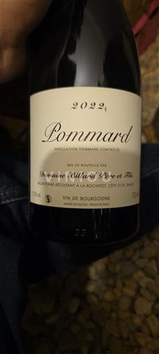 Vina Rouge sec Domaine Billard Père et Fils 2022 Francija Burgundija Pommard AOC