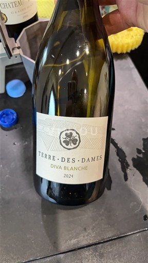 Languedoc ja Roussillon Pays d'Oc Terre des Dames Diva Blanche 2024