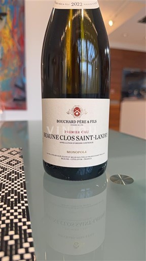 Burgundija Beaune Premier Cru Bouchard Père & Fils Beaune Clos Saint-Landry 2022