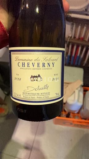 Údolí Loiry Cheverny Domaine Salvard Delaille 2024