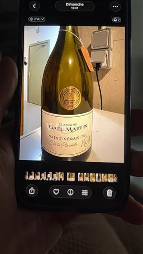 Bourgogne Saint-Véran Domaine Gaël Martin Clos la Poncelle 2021