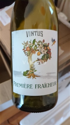 Southwest Côtes de Gascogne Vintus Première Fraîcheur 2023