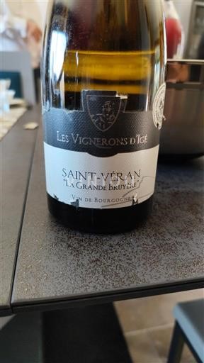 Bourgogne Saint-Véran Les Vignerons d'Igé La Grande Bruyère 2020