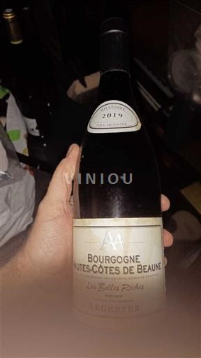 Borgogna Non specificato Aegerter Les Belles Roches 2019