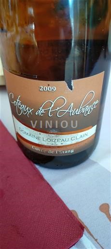 Valle della Loira Coteaux-de-l'aubance Domaine Loizeau Clain de l'Étang 2009