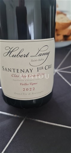 Borgoña No especificado Premier Cru Domaine Hubert Lamy Clos des Gravières Vieilles Vignes 2022