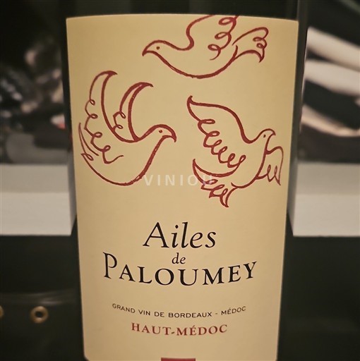 Bordeaux Haut-Médoc Château Paloumey Ailes de Paloumey 2015