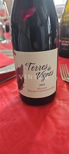 Valle della Loira Touraine Maison Maurice Gentilhomme Terres de Vignes 2023